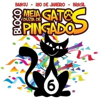 Meia Dúzia de Gatos Pingados — bloco de rua em Rio de Janeiro